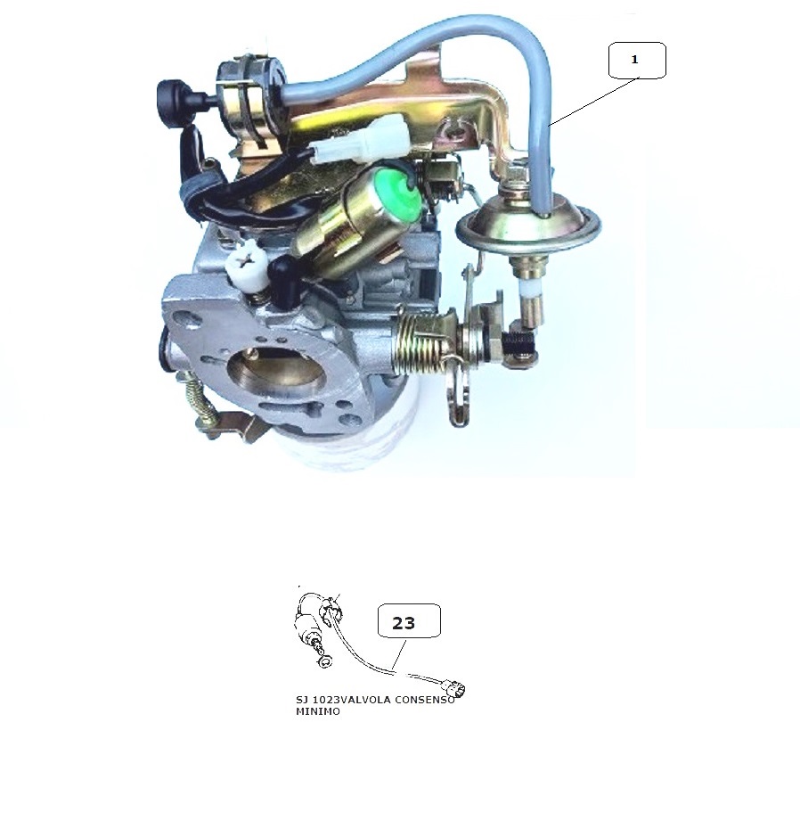 Figura 12