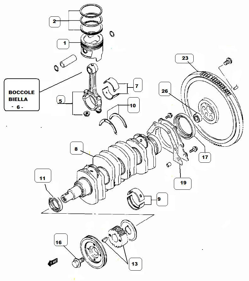 Figura 5